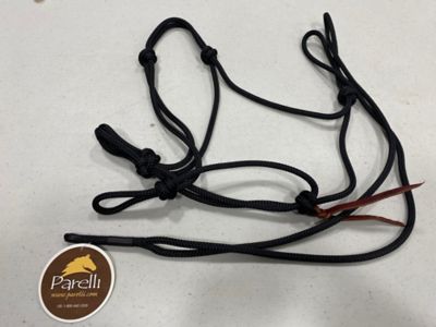 Image showing  Halter - Arabian/Yearling