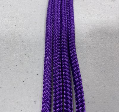 Image showing  Halter Mini/Foal