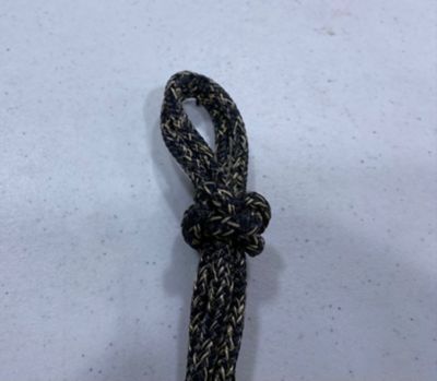 Image showing  Halter Mini/Foal