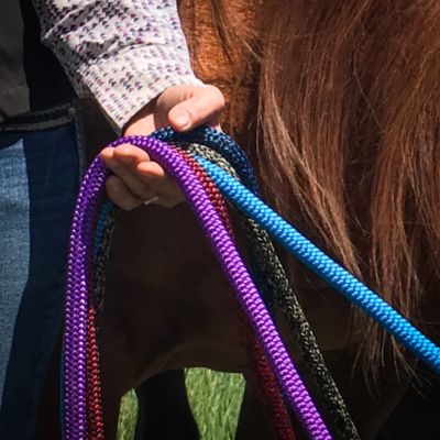Image showing  Training Rope (9/16 in.) with Snap & Popper