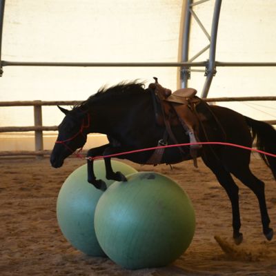 Image showing  Horse Play Ball, Green, 42-44 in.