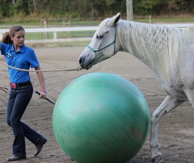 Image showing  Horse Play Ball, Green, 42-44 in.