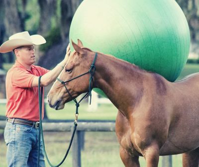 Image showing  Horse Play Ball, Green, 42-44 in.