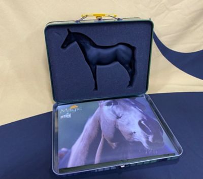 Image showing  Mini Parelli Magic - Toy and Lunchbox