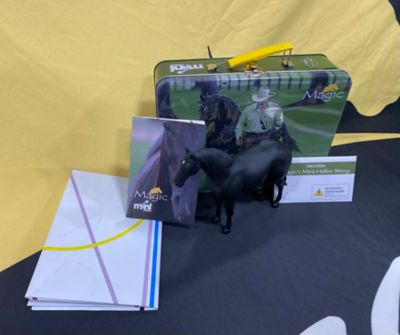 Image showing  Mini Parelli Magic - Toy and Lunchbox