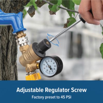 Image showing  Adjustable Water Pressure Regulator