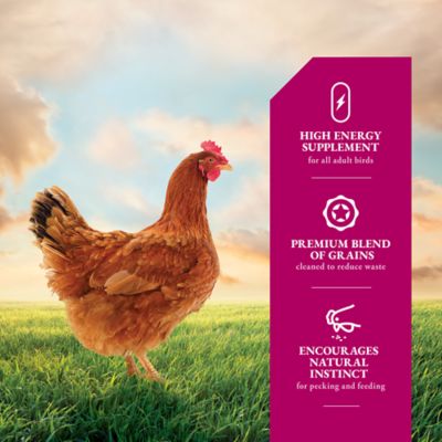 Image showing  5-Grain Scratch Poultry Feed Supplement, 40 lb.