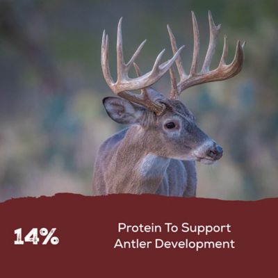 Image showing  Spincast Deer Feed 14%, 50 lb. Bag