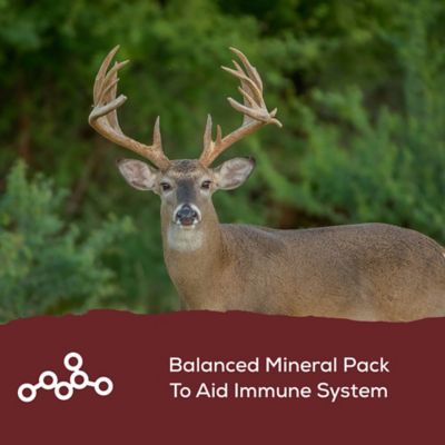 Image showing  Spincast Deer Feed 14%, 50 lb. Bag