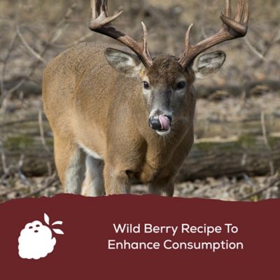 Image showing  Spincast Deer Feed 14%, 50 lb. Bag