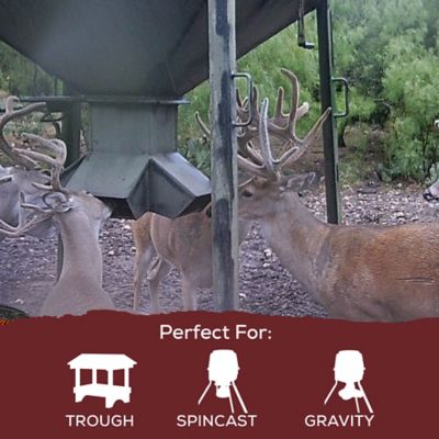 Image showing  Spincast Deer Feed 14%, 50 lb. Bag