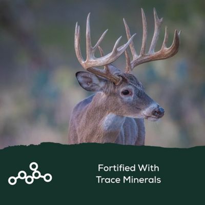 Image showing  30 lb. Big Antler Deer Mineral Block