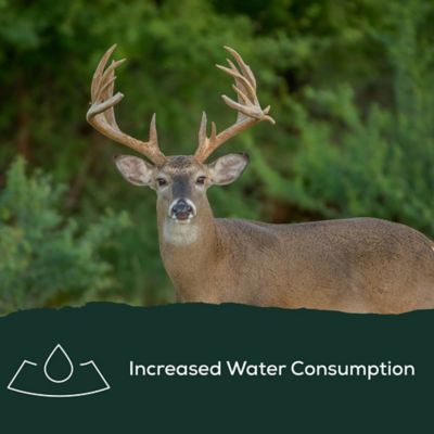 Image showing  30 lb. Big Antler Deer Mineral Block