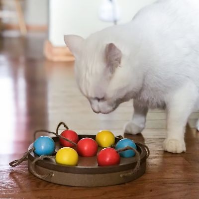 Image showing  Bat-A-Ball Interactive Pet Toy