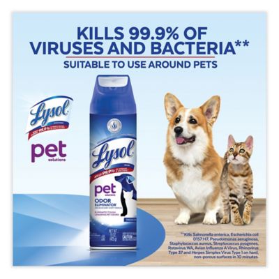 Image showing 6 th Lysol Disinfectant Spray II Pet Odor Eliminator, Fresh, Aerosol Spray, 12/Carton