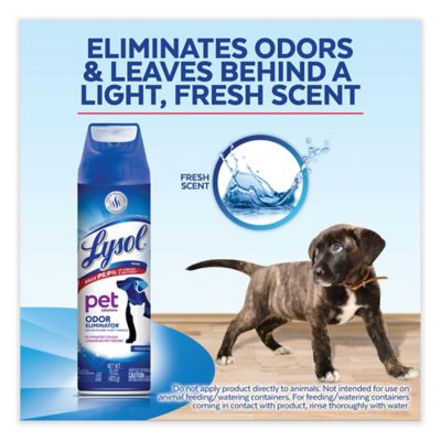 Image showing 8 th Lysol Disinfectant Spray II Pet Odor Eliminator, Fresh, Aerosol Spray, 12/Carton