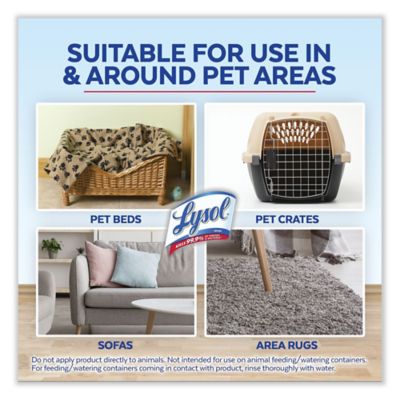 Image showing 9 th Lysol Disinfectant Spray II Pet Odor Eliminator, Fresh, Aerosol Spray, 12/Carton