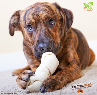 Image showing 5 th The Treat Shack 4-5 in. Knotted Premium Rawhide Bones Dog Treats, 10 ct.