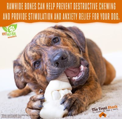 Image showing  4-5 in. Knotted Premium Rawhide Bones Dog Treats, 20 ct.