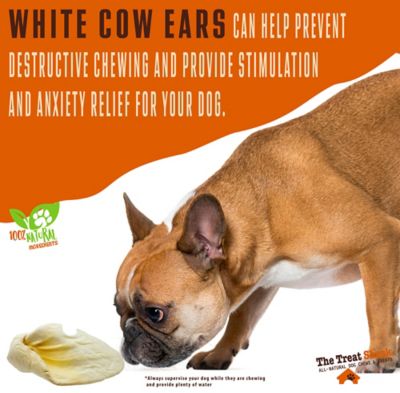 Image showing  Large White Cow Ears With Base Dog Treats, 5 ct.