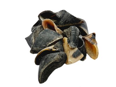 Image showing  Large Cow Hooves Dog Treats, 25 ct.