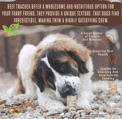 Image showing  6 in. Split Beef Trachea Flats Dog Treats, 15 ct.