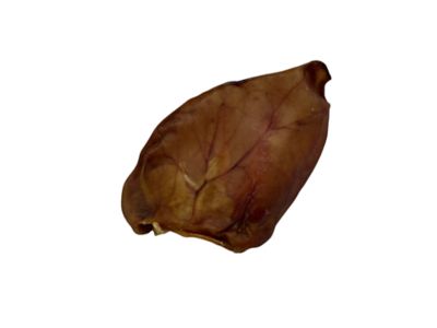 Image showing  Jumbo Whole Natural Pig Ears Dog Treats, 5 ct.