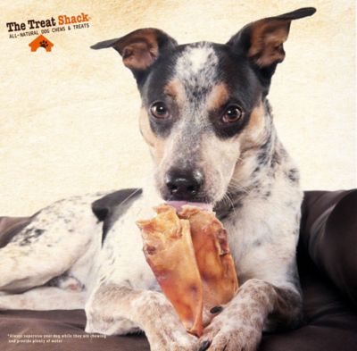 Image showing 6 th The Treat Shack Jumbo Whole Natural Pig Ears Dog Treats, 5 ct.