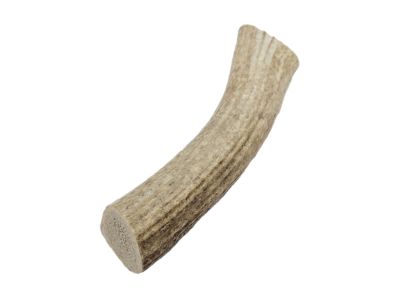The Treat Shack 7-8 in. Large Whole Naturally Shed Elk Antler Dog Treats, 1 ct.