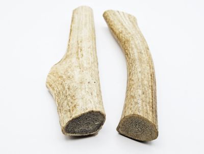 The Treat Shack 7-8 in. Large Whole Naturally Shed Elk Antler Dog Treats, 2 ct.