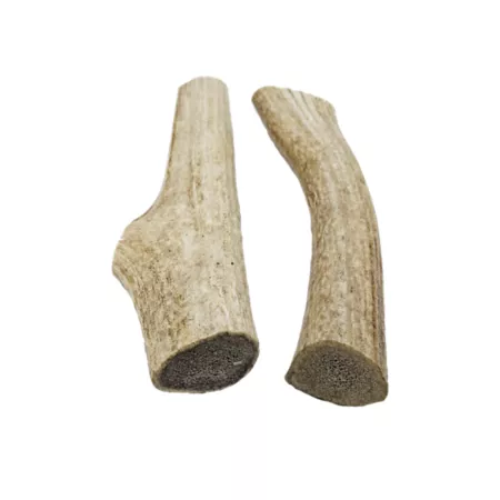 The Treat Shack 7-8 in Naturally Shed Whole Elk Antler Large Dog Treats 2 ct Dog Bones Rawhide & Rawhide Alternative