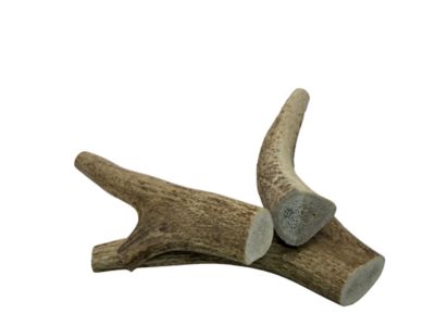 Image showing  7-8 in. Large Whole Naturally Shed Elk Antler Dog Treats, 2 ct.