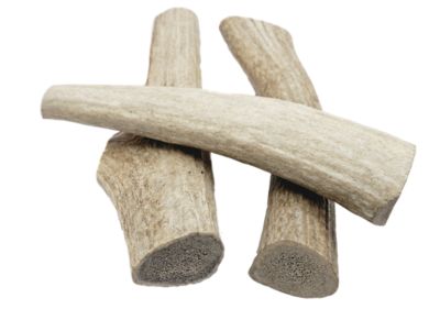 The Treat Shack 7-8 in. Large Whole Naturally Shed Elk Antler Dog Treats, 3 ct.