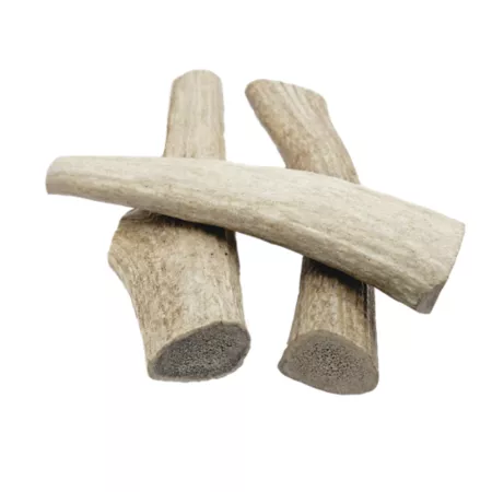 The Treat Shack 7-8 in Large Naturally Shed Whole Elk Antler Dog Treats 3 ct Dog Bones Rawhide & Rawhide Alternative