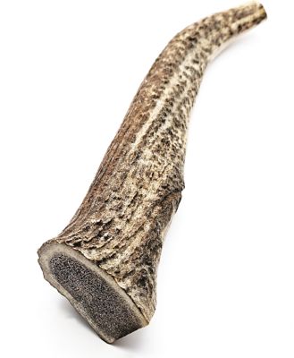 The Treat Shack 8-9 in. X-Large Whole Naturally Shed Elk Antler Dog Treats, 1 ct.