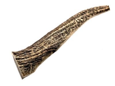 Image showing  8-9 in. X-Large Whole Naturally Shed Elk Antler Dog Treats, 1 ct.