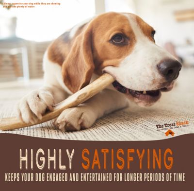 Image showing  8-9 in. X-Large Whole Naturally Shed Elk Antler Dog Treats, 1 ct.