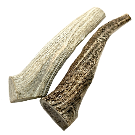 The Treat Shack 8-9 in. X-Large Whole Naturally Shed Elk Antler Dog Treats, 2 ct.