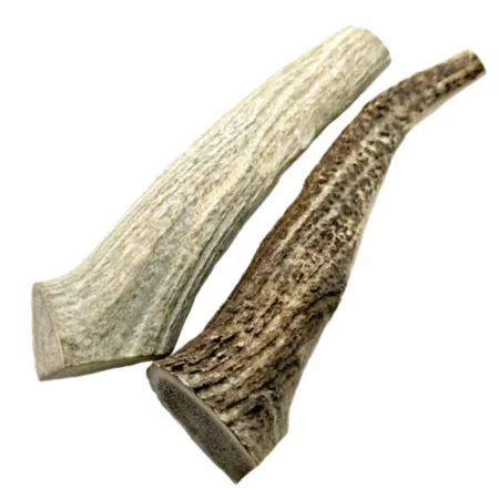 The Treat Shack 8-9 in Naturally Shed Whole Elk Antler Dog Treats 2 ct Dog Bones Rawhide & Rawhide Alternative