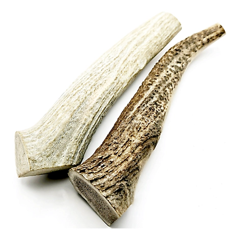 The Treat Shack 8-9 in. X-Large Whole Naturally Shed Elk Antler Dog Treats, 2 ct.