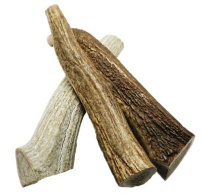 The Treat Shack 8-9 in. X-Large Whole Naturally Shed Elk Antler Dog Treats, 3 ct.