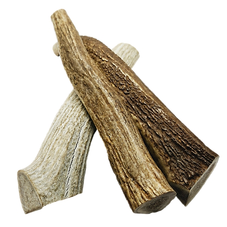 The Treat Shack 8-9 in. X-Large Whole Naturally Shed Elk Antler Dog Treats, 3 ct.