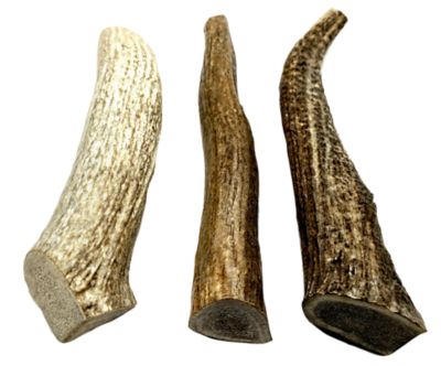 Image showing  8-9 in. X-Large Whole Naturally Shed Elk Antler Dog Treats, 3 ct.