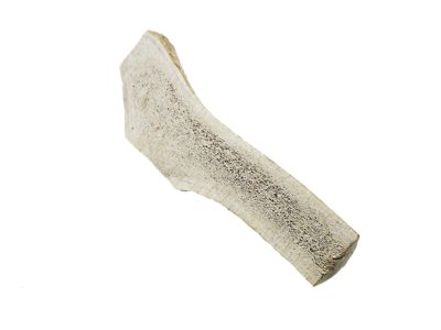 The Treat Shack 7-8 in. Large Split Naturally Shed Elk Antler Dog Treats, 1 ct.