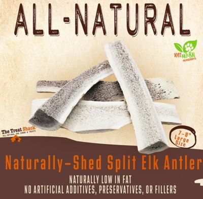 Image showing  7-8 in. Large Split Naturally Shed Elk Antler Dog Treats, 4 ct.
