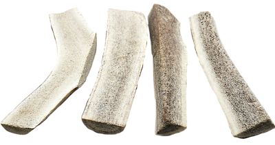 Image showing  8-9 in. X-Large Split Naturally Shed Elk Antler Dog Treats, 4 ct.
