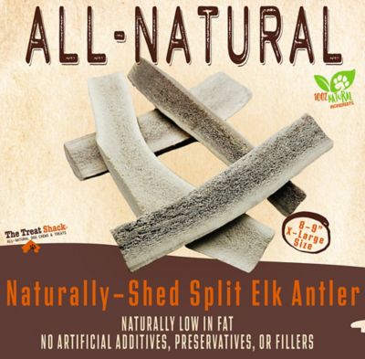 Image showing  8-9 in. X-Large Split Naturally Shed Elk Antler Dog Treats, 4 ct.