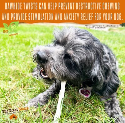 Image showing  5 in. Premium Rawhide Twists Dog Treats, 12 ct.