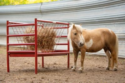 Image showing  All Metal Sheep And Goat Feeder