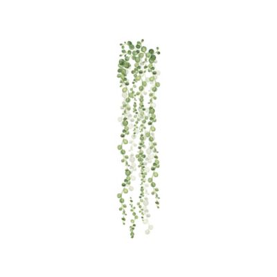 Image showing  Green & White String Of Pearls Vine Wall Decals